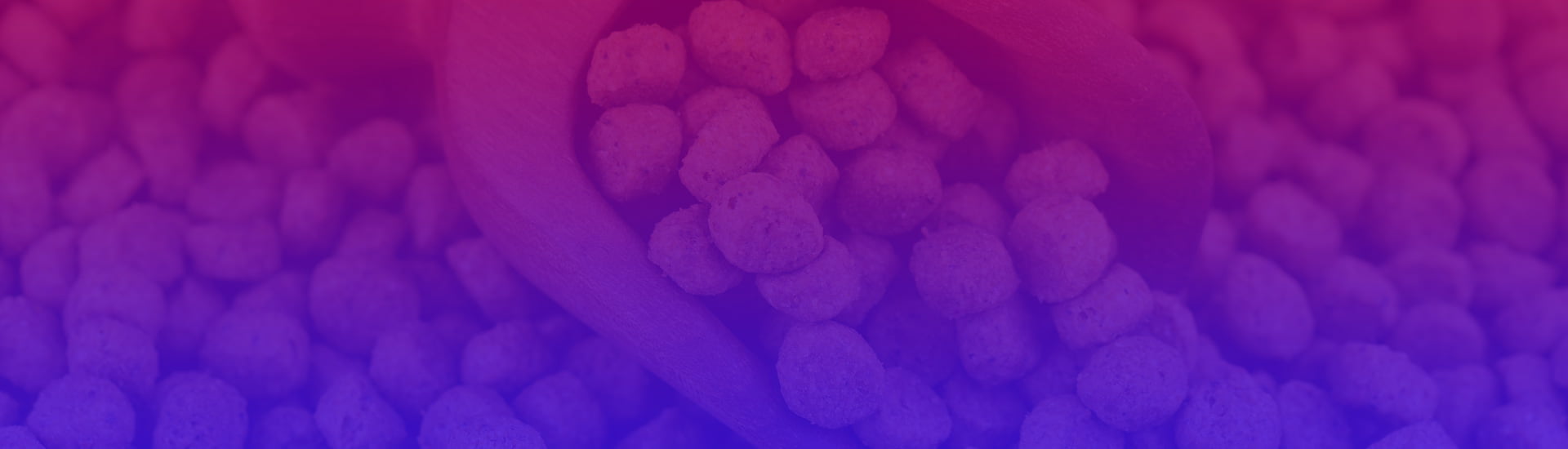 dog treat packaging