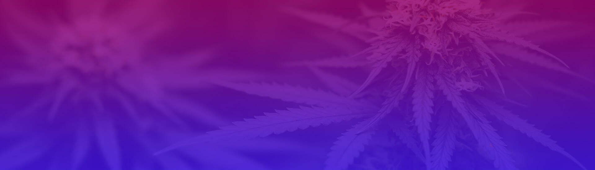 custom cannabis packaging