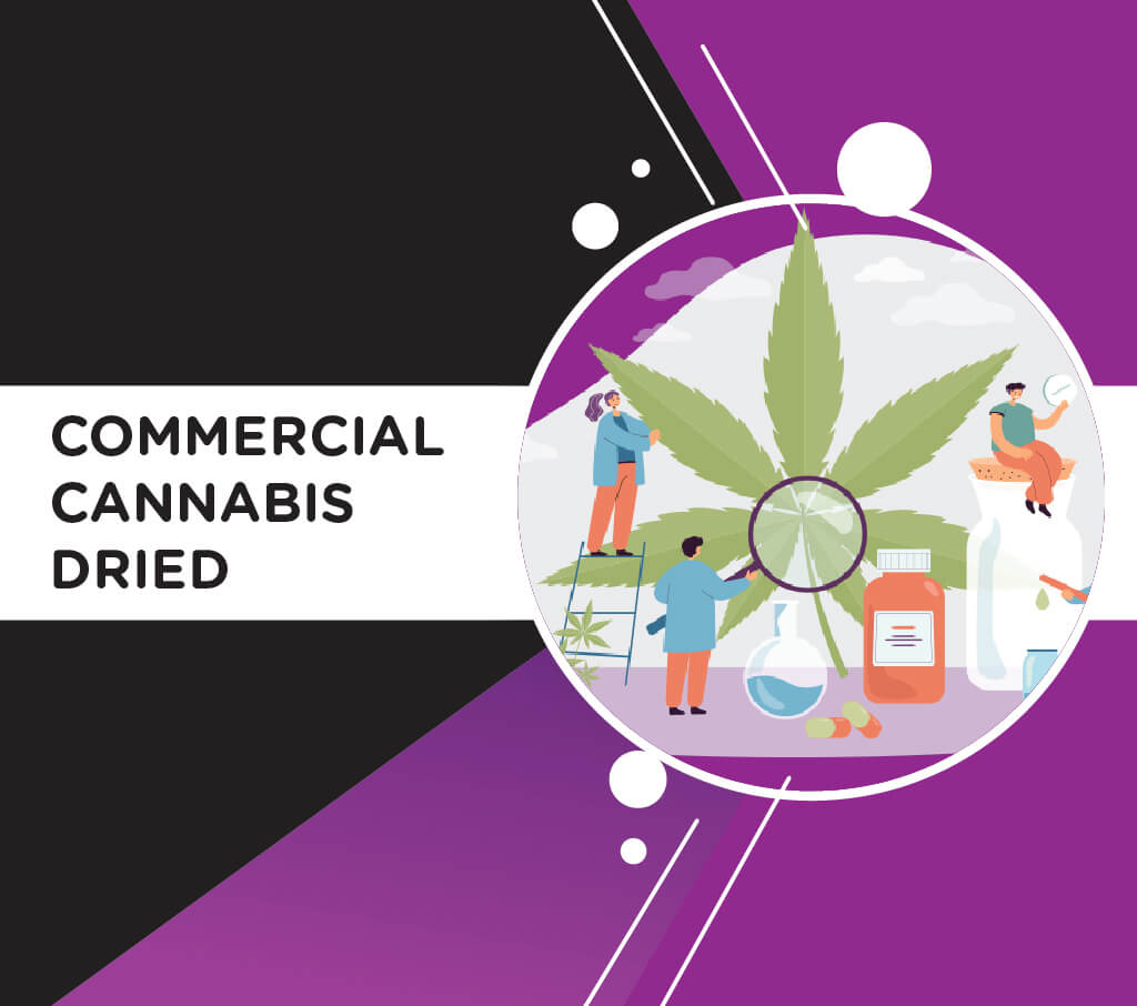 How is Commercial Cannabis Dried